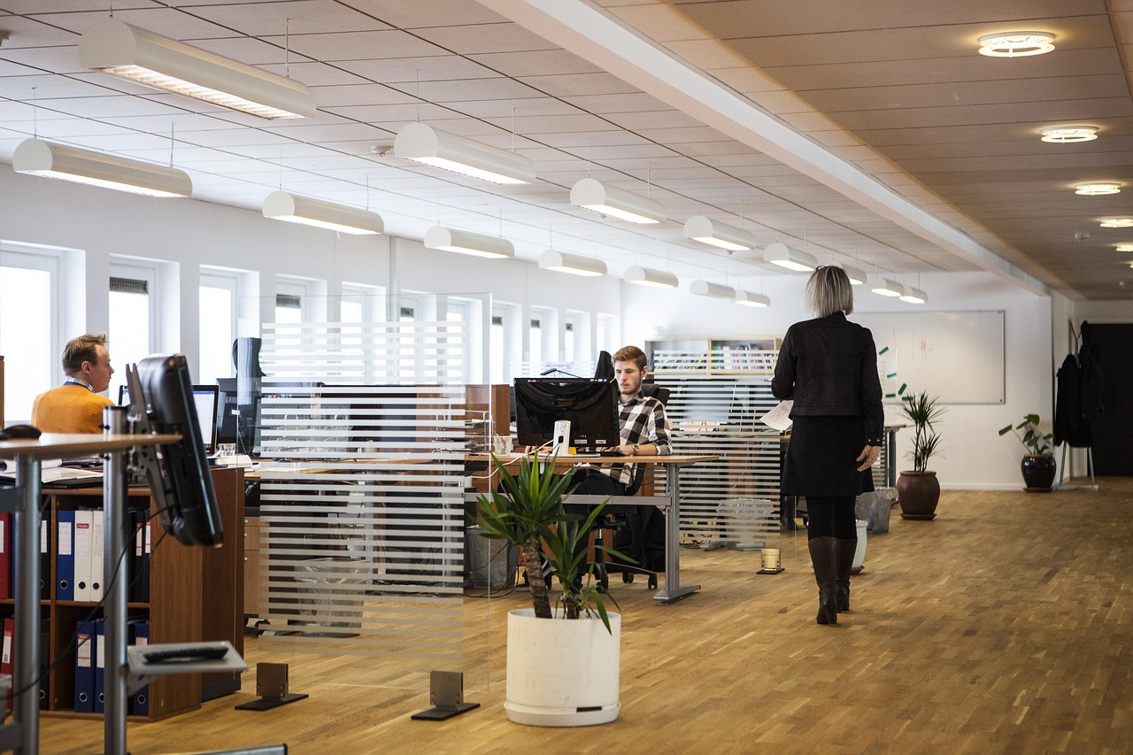 Office, business, company — Internships Abroad: How Global Work Experience Is Redefining Modern Career Readiness